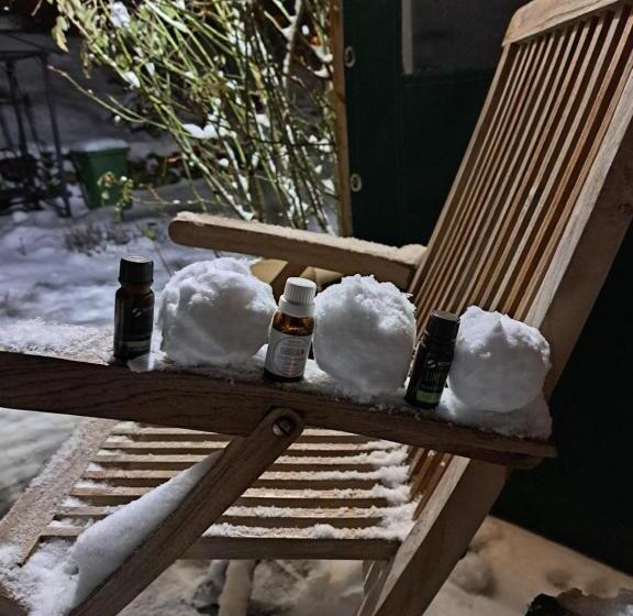 בית מלון כפרי Gajraj