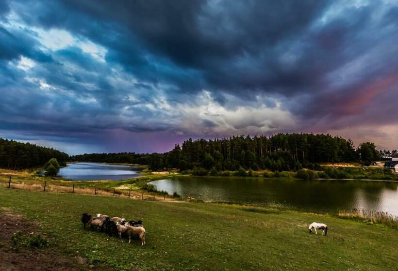 Отель Gospodarstwo Agroturystyczne Cyrson