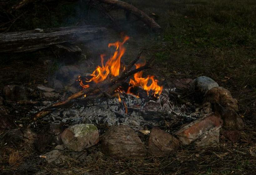 Отель Gospodarstwo Agroturystyczne Cyrson