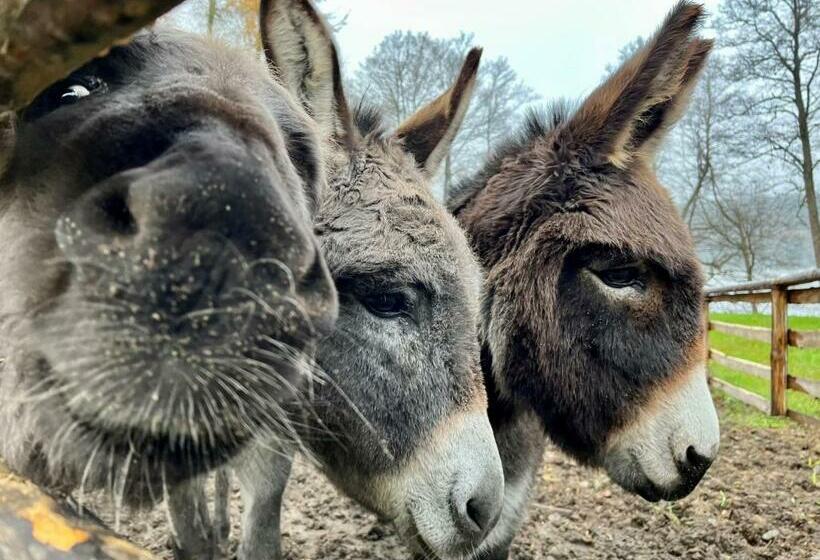 ホテル Gospodarstwo Agroturystyczne Kozłowiec