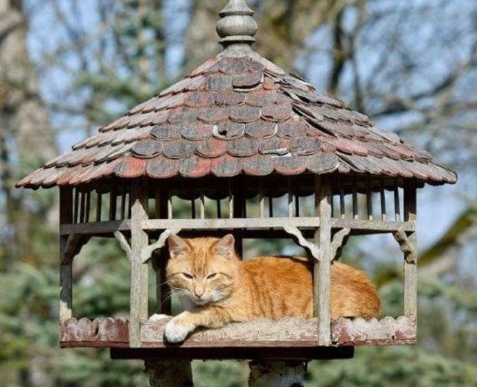 ホテル Gospodarstwo Agroturystyczne Kozłowiec