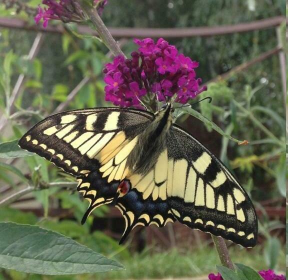 ホテル Gospodarstwo Agroturystyczne Kozłowiec
