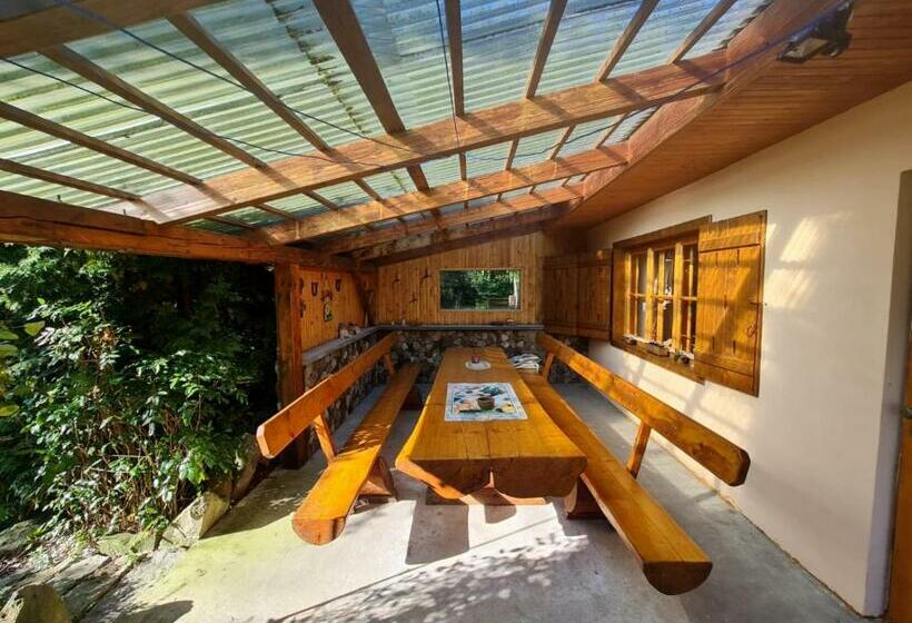 ホテル Gospodarstwo Agroturystyczne U Stasików