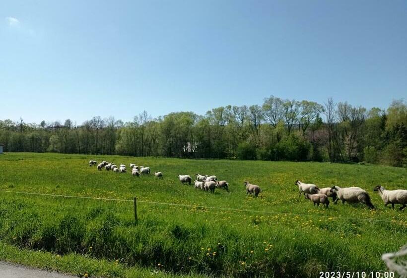 בית מלון כפרי Gospodarstwo Agroturystyczne U Stasików