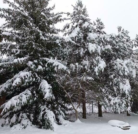 בית מלון כפרי Gospodarstwo Agroturystyczne U Stasików