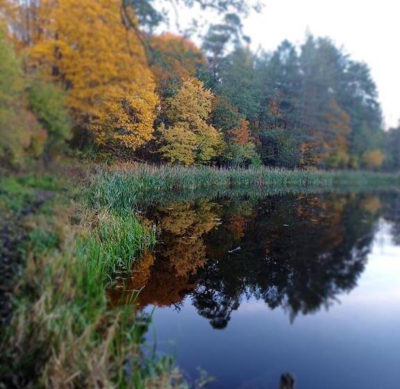 Отель Ośrodek Wypoczynkowy Kozioł