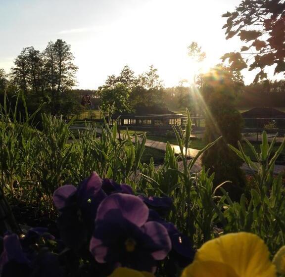 Отель Ośrodek Wypoczynkowy Kozioł