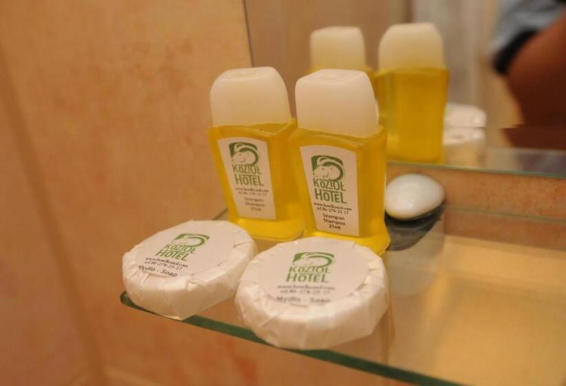 Отель Ośrodek Wypoczynkowy Kozioł