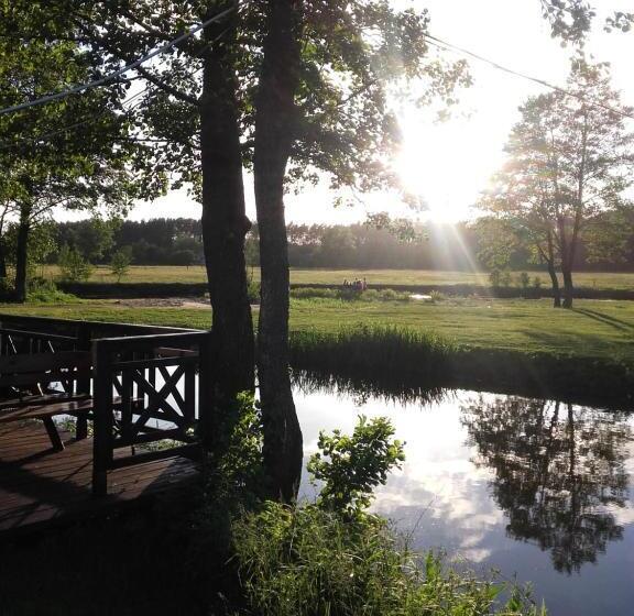 Отель Ośrodek Wypoczynkowy Kozioł