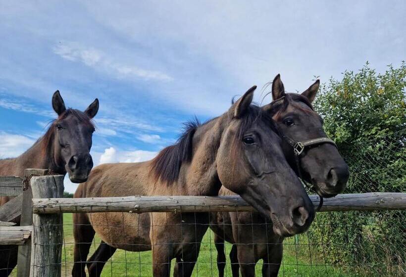 בית מלון כפרי Samsara   Prawdziwa Agroturystyka