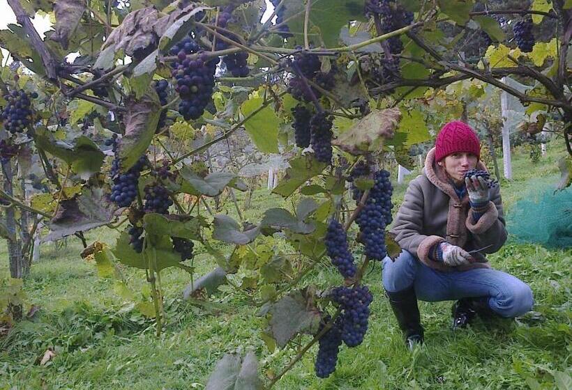 ホテル Winnica Spisz