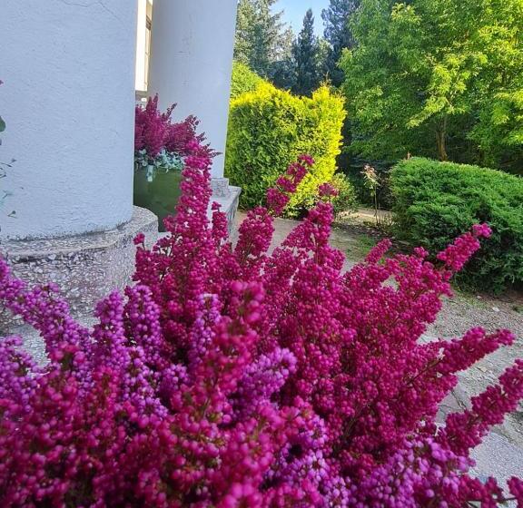 هتل Wrzosowe Siedlisko