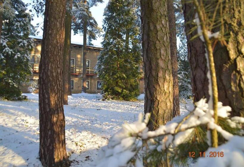 Отель Zajazd Turystyczny Hetman