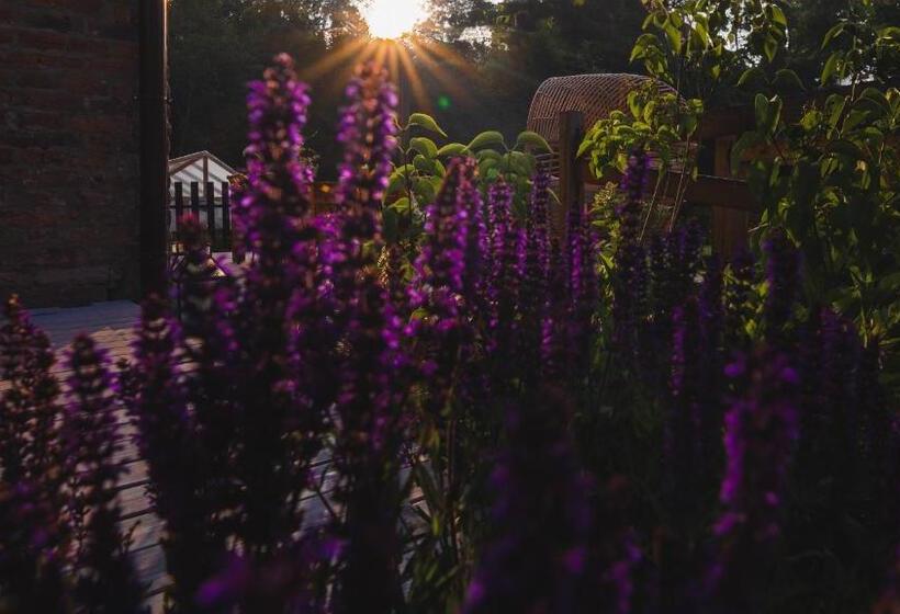 בית מלון כפרי Zapomnienie