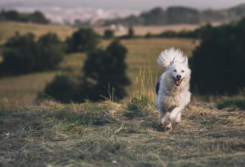 בית מלון כפרי Zapomnienie