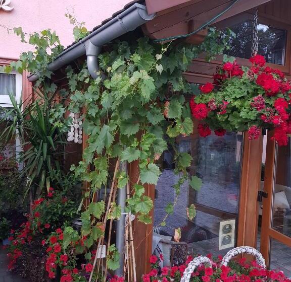 בית מלון כפרי Zaułek