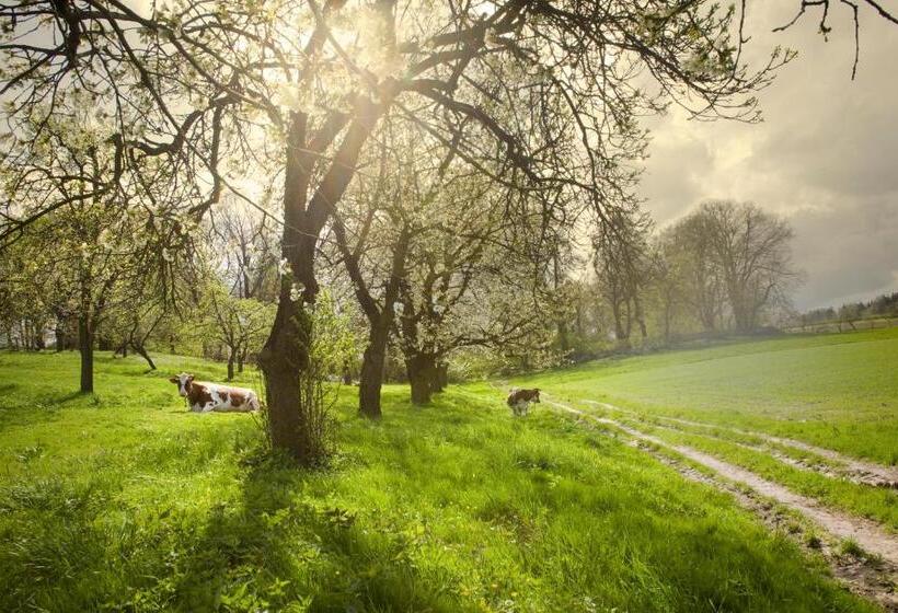 膳宿费 Alba Góra św Anny Restauracja I Pokoje
