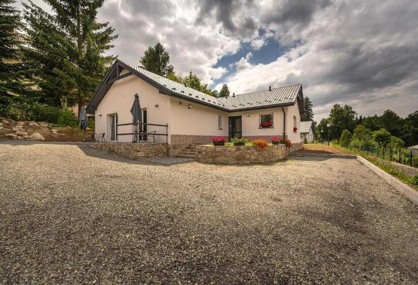 Пансион Apartamenty Mozaika Centrum Zdroju