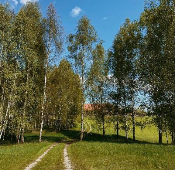 پانسیون Babie Lato