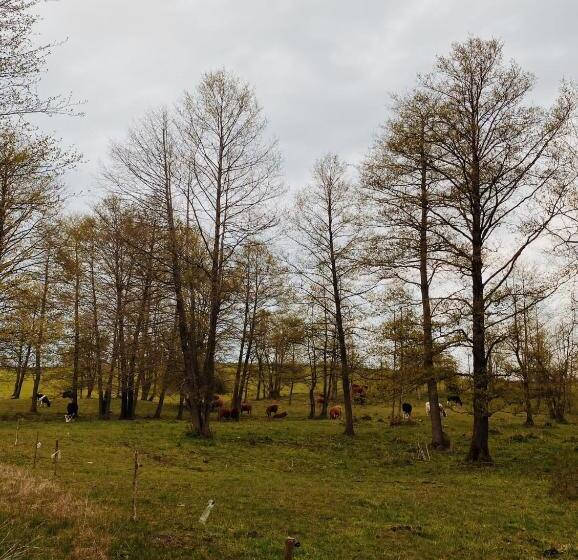 پانسیون Babie Lato