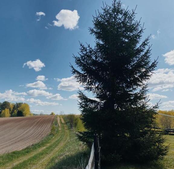 پانسیون Babie Lato