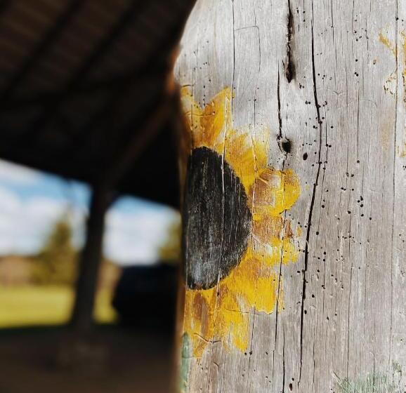 پانسیون Babie Lato