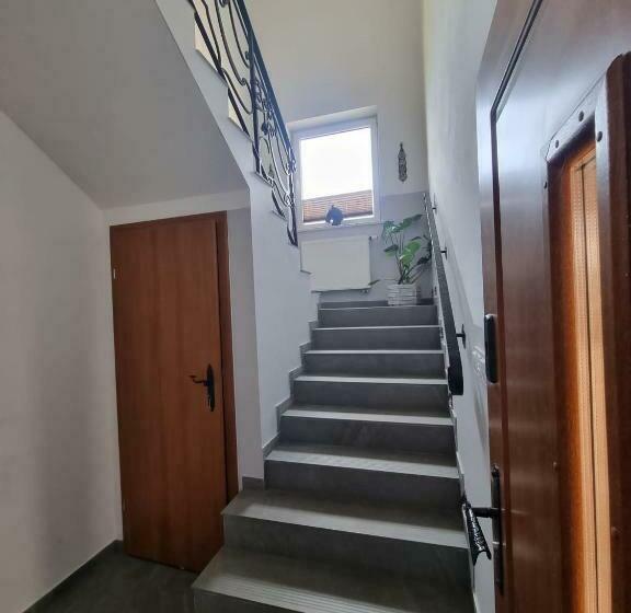 פנסיון Black Horse Apartament’s