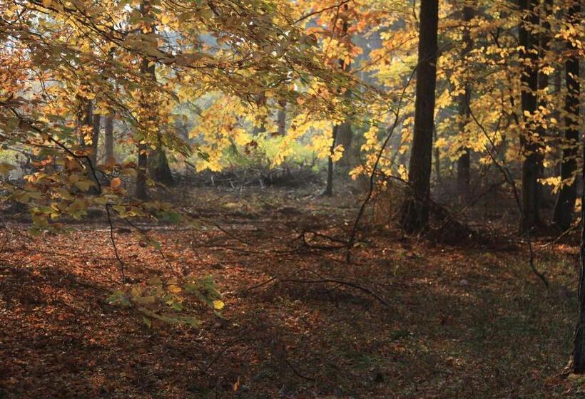 膳宿费 Gospodarstwo Gościnne Racibór