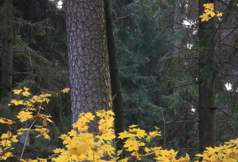 膳宿费 Gospodarstwo Gościnne Racibór