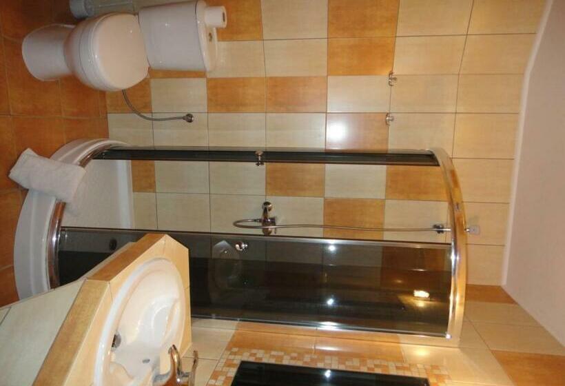 پانسیون Mirex