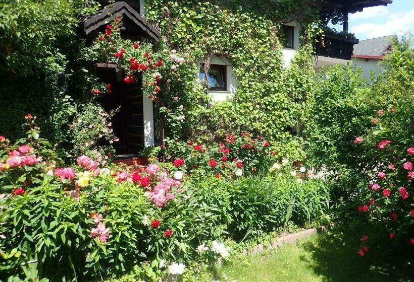 بنسيون Pokoje Gościnne W Centrum