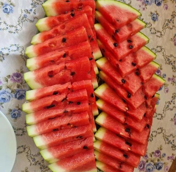 פנסיון Przystanek Podgórze