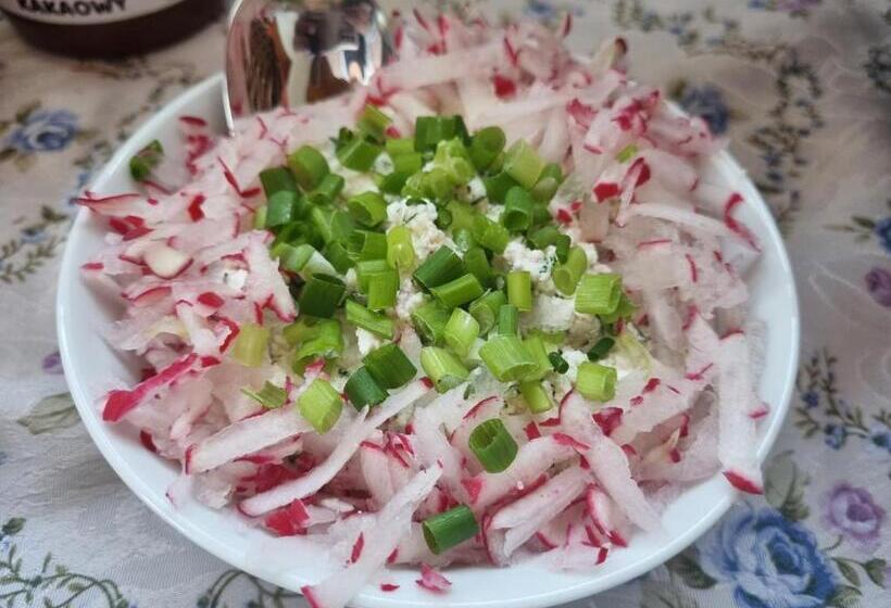 פנסיון Przystanek Podgórze