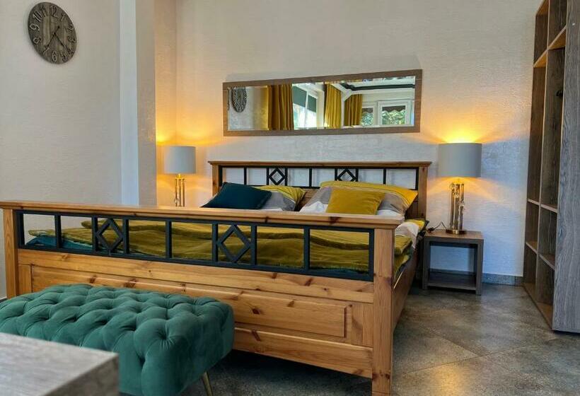 פנסיון Villa Slavia