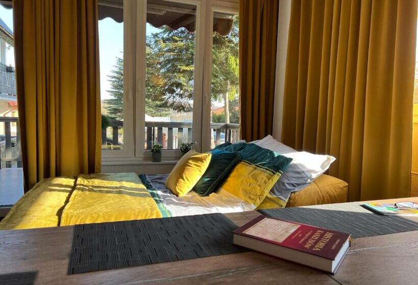 פנסיון Villa Slavia