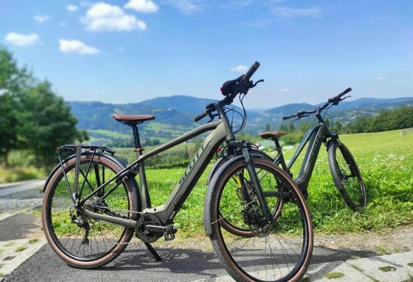 پانسیون Wiślany Raj