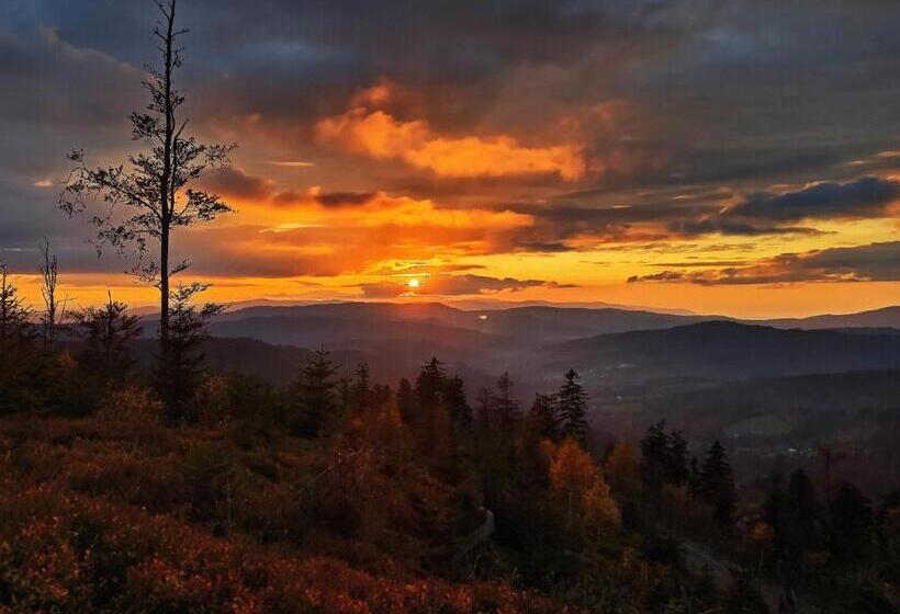 پانسیون Wiślany Raj