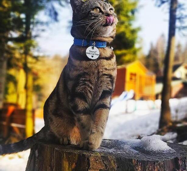 پانسیون Wiślany Raj