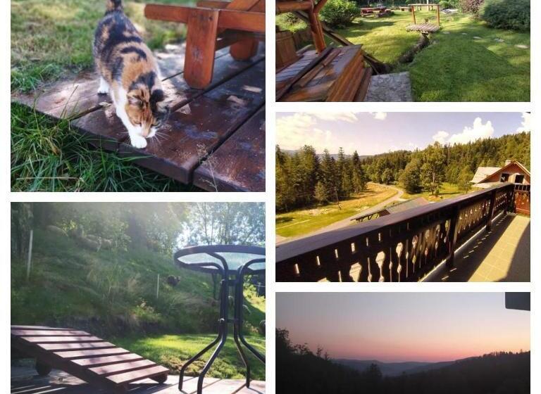 پانسیون Wiślany Raj