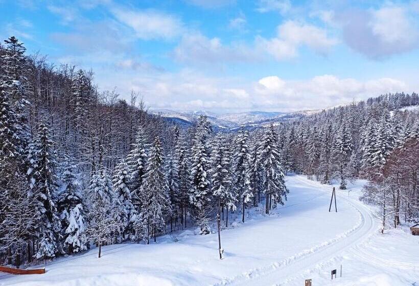 پانسیون Wiślany Raj