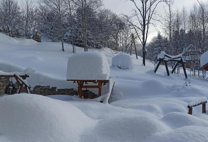 پانسیون Wiślany Raj