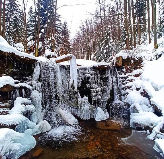 پانسیون Wiślany Raj