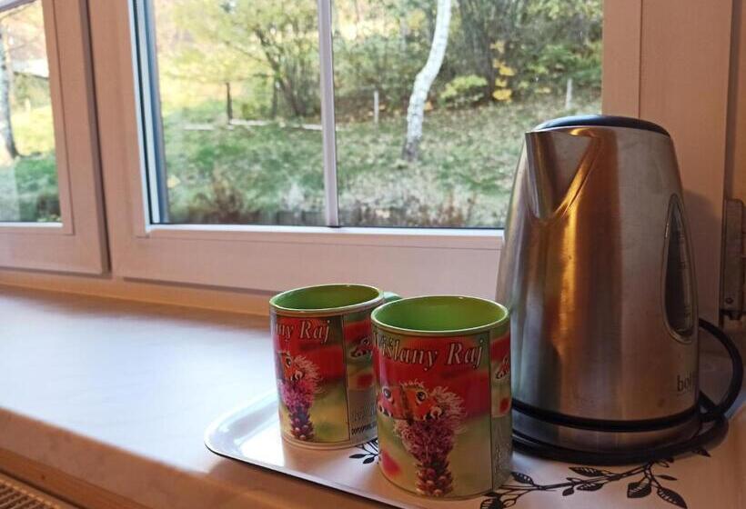 پانسیون Wiślany Raj