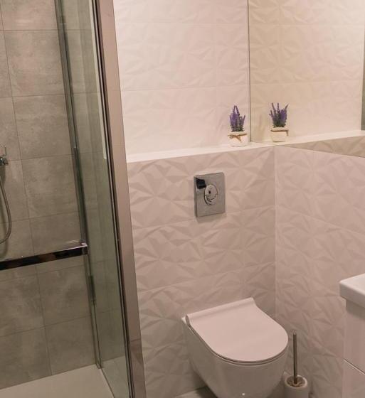 פנסיון Willa Borowski