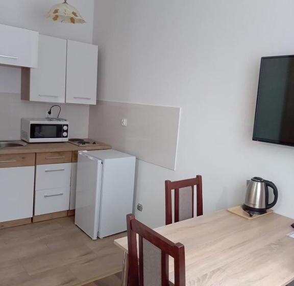 پانسیون Willa Halusia