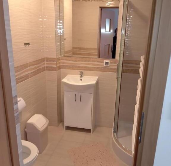 پانسیون Willa Halusia