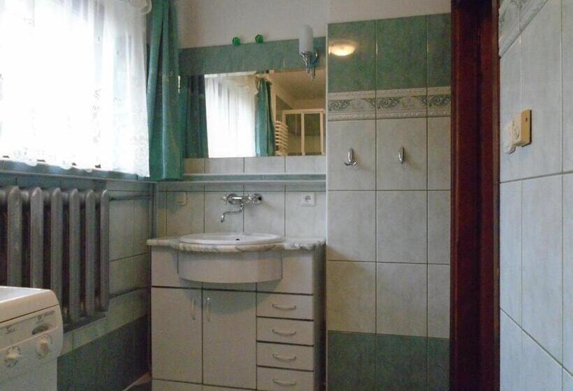 پانسیون Willa Halusia