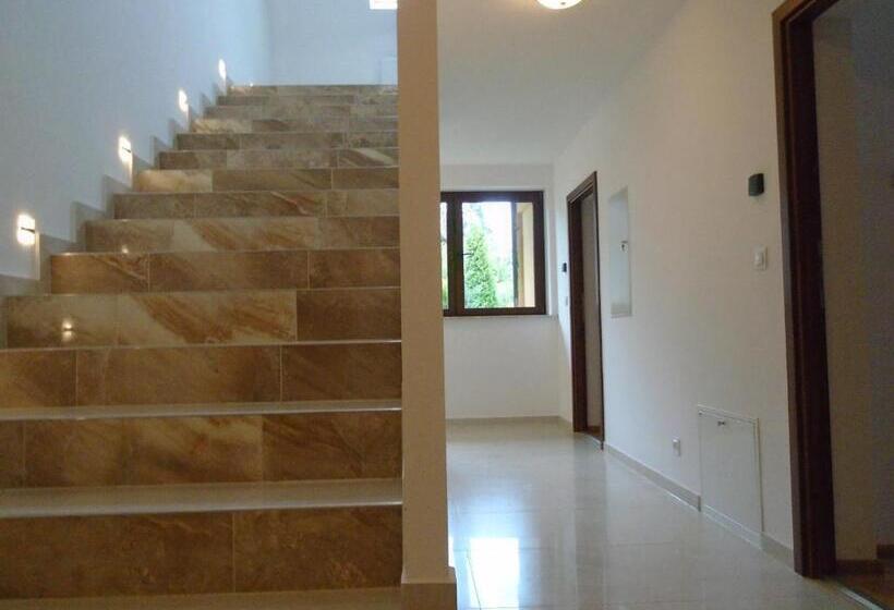 پانسیون Willa Halusia