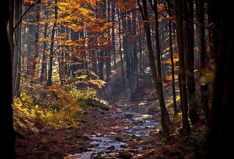 פנסיון Willa Monika