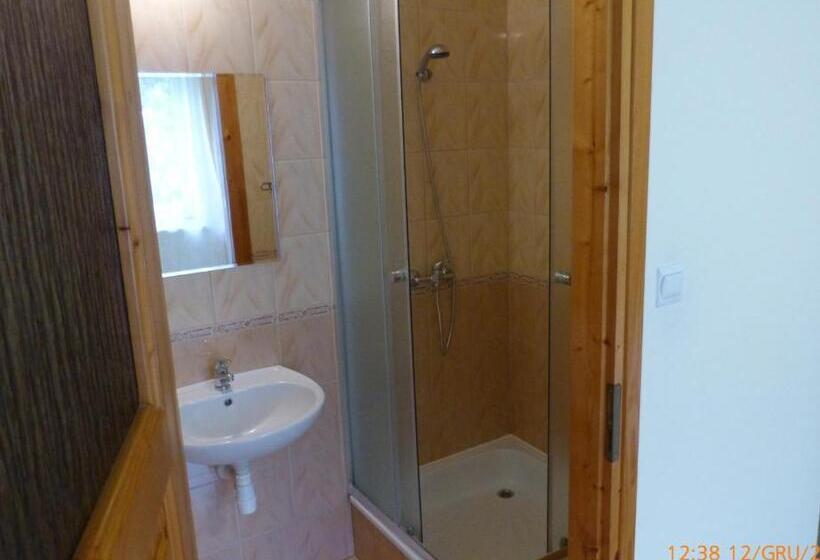 Пансион Willa Roztoczanka